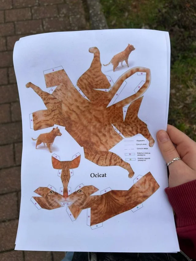Бумажный кот своими руками