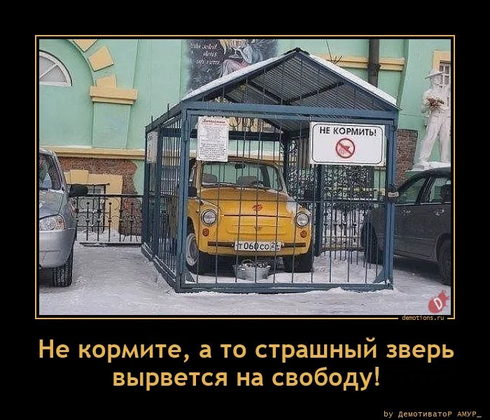 Забавные демотиваторы, которые поднимут настроение