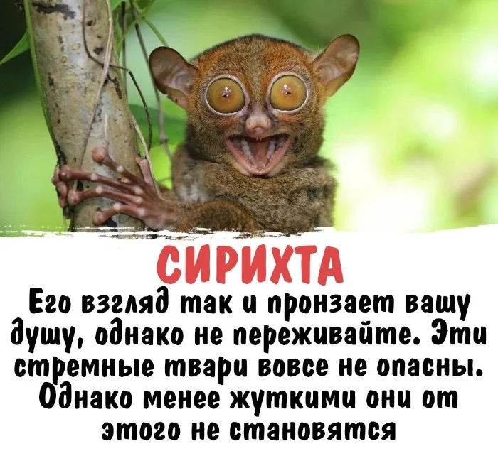 Интересная биология #59