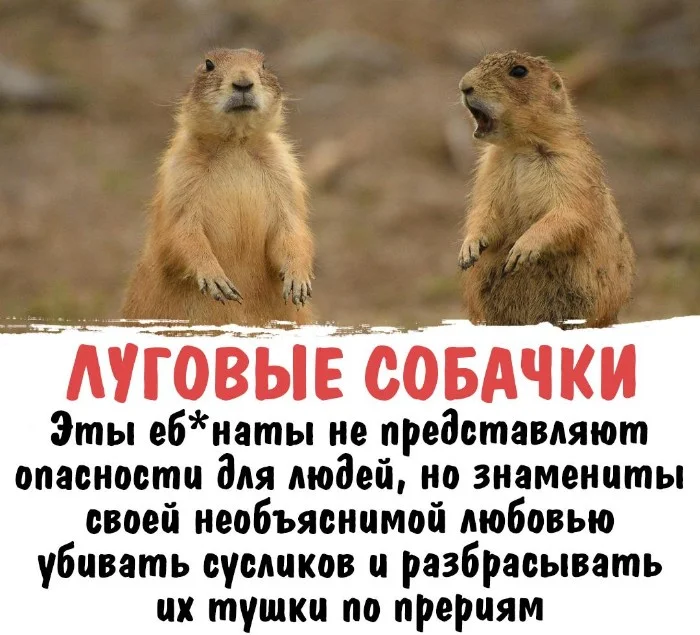 Интересная биология #61