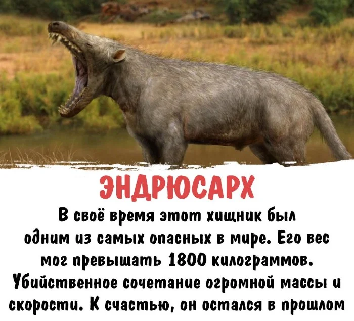 Интересная биология #62