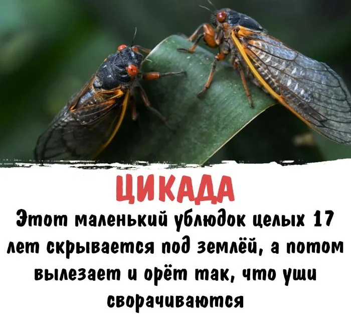 Интересная биология #64