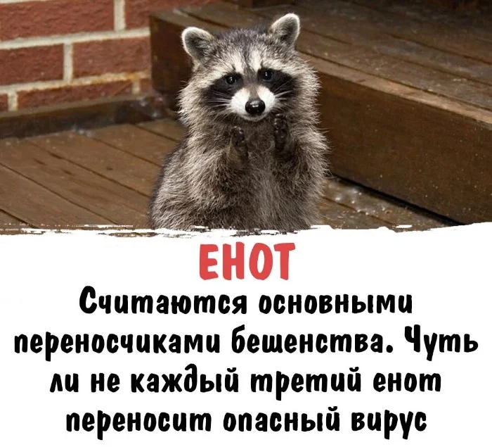 Интересная биология #65