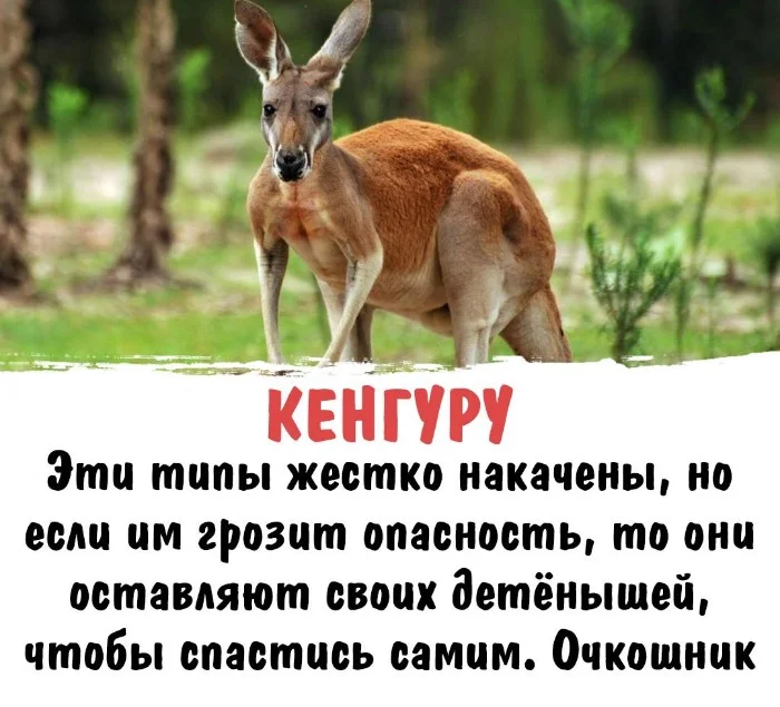 Интересная биология #66