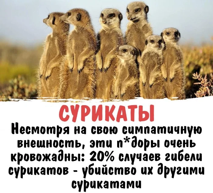 Интересная биология #67