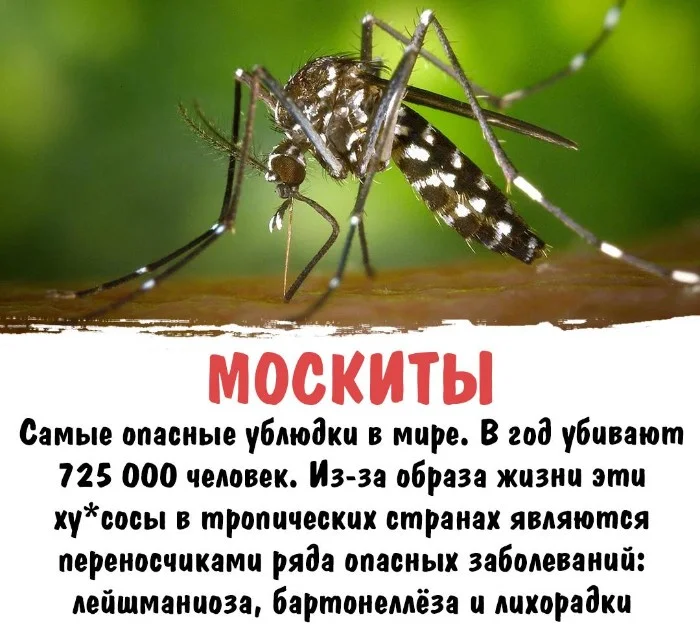 Интересная биология #68