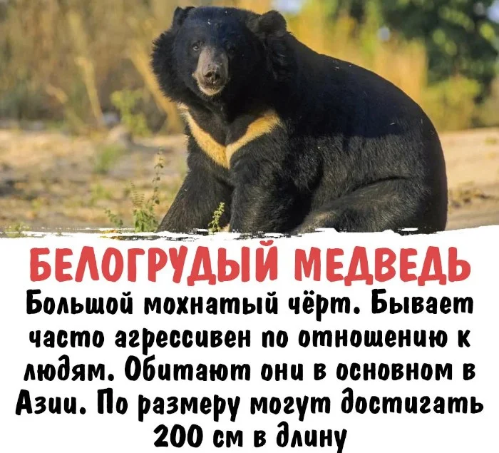 Интересная биология #69