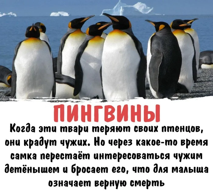 Интересная биология #70