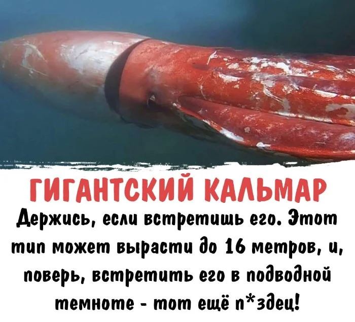 Интересная биология #71