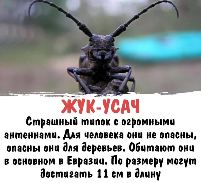 Интересная биология #73