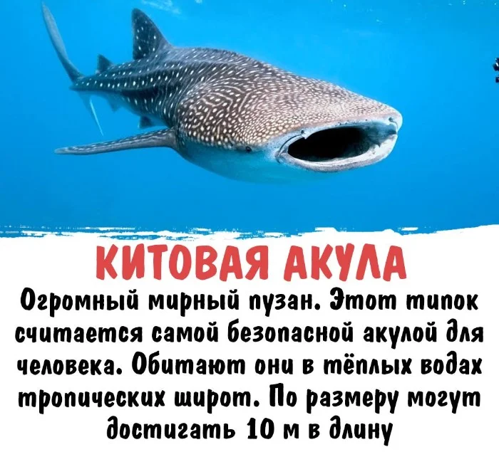 Интересная биология #73