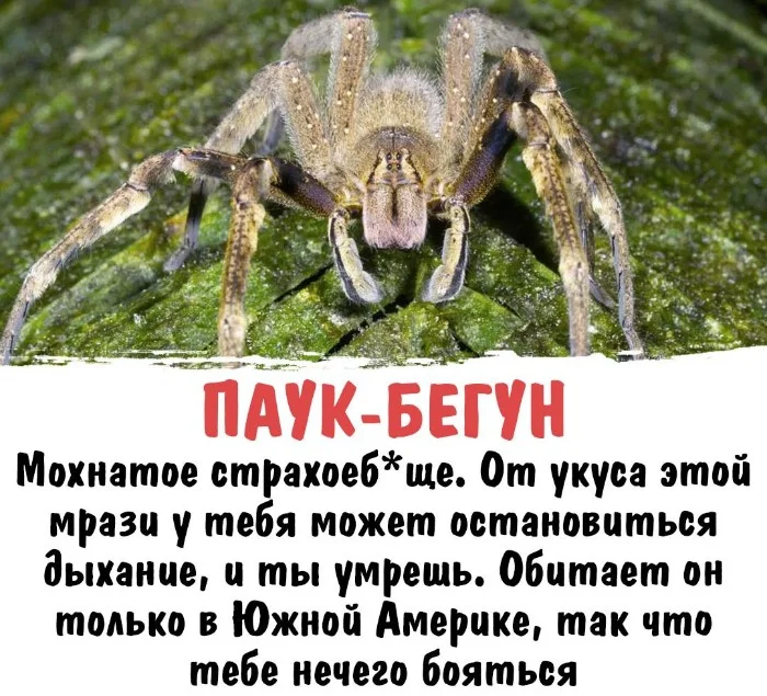 Интересная биология #76