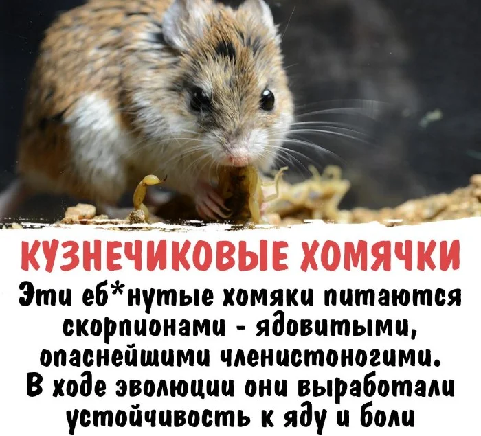 Интересная биология #77