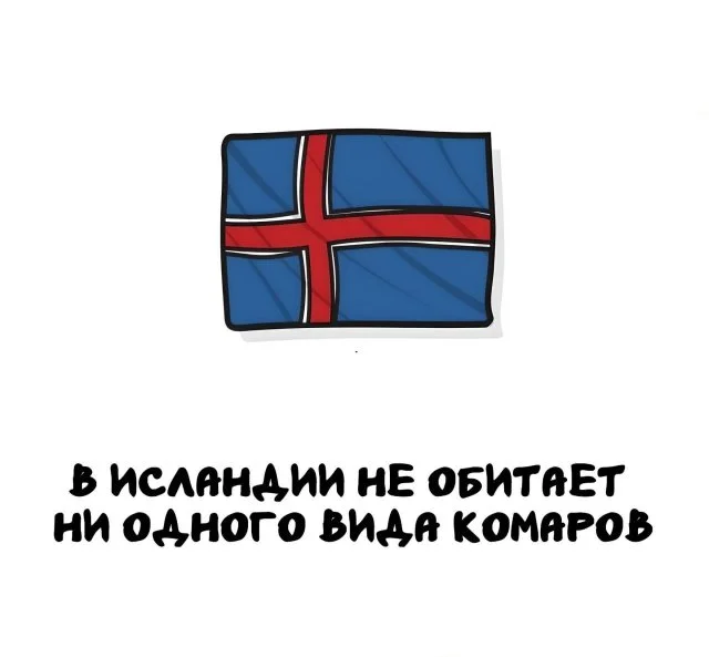 Удивительные факты, которые пригодятся