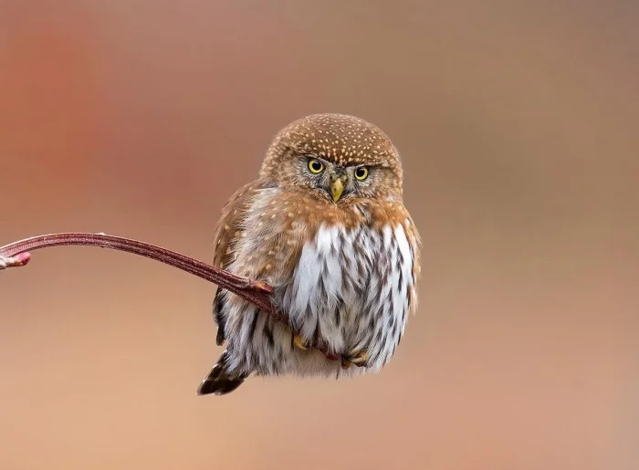 Фотоподборка по одной теме, но с разными акцентами #2