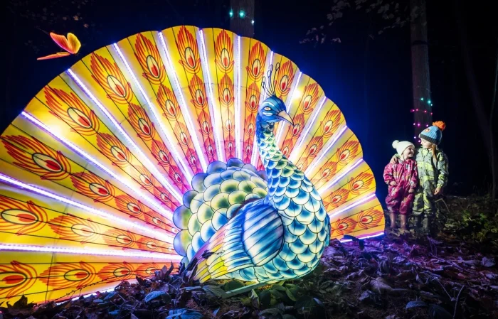 Фотоподборка по одной теме, но с разными акцентами #3