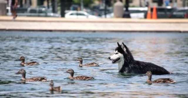 Разнообразие в кадре: фотоподборка без темы, но с настроением