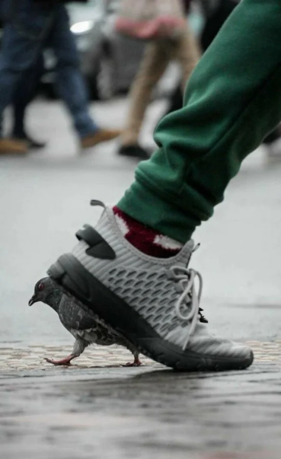 Случайная фотоподборка