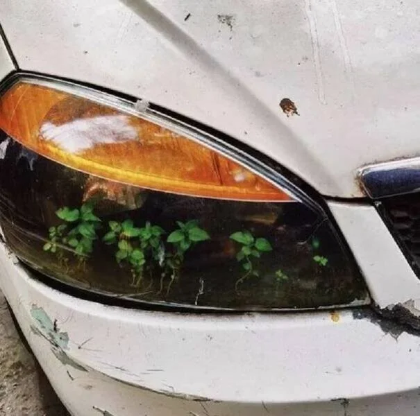 Взбалталось и намешалось