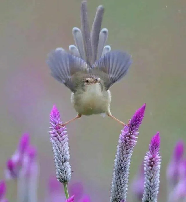 Снова намешалось