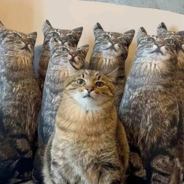 Снова намешалось