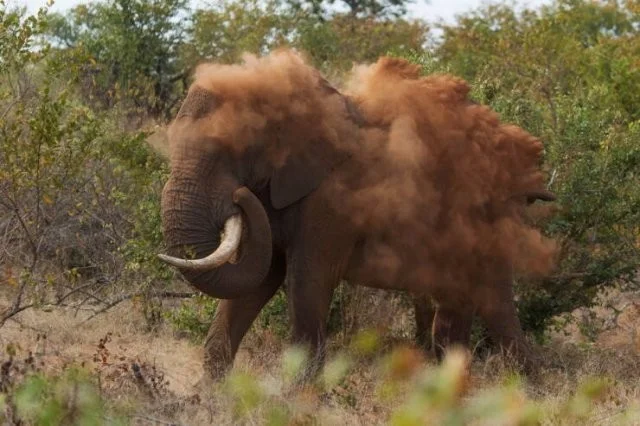 Взбалталось и намешалось