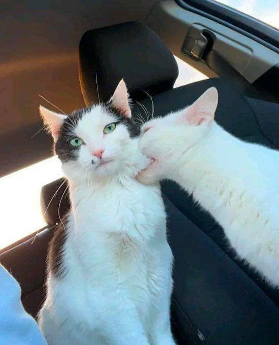 Снова намешалось