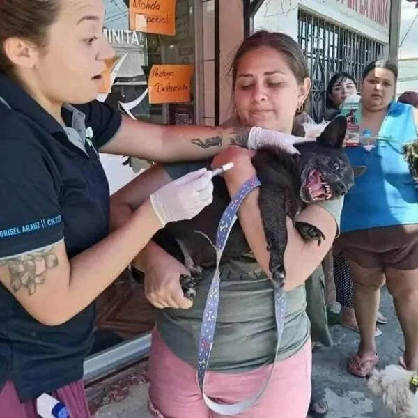 Взбалталось и намешалось