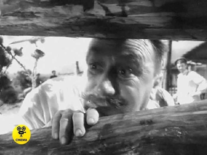 Смех на экране, боль за кадром: история Алексея Смирнова