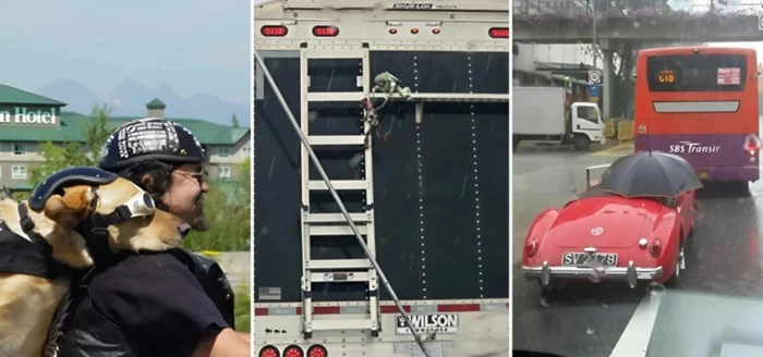 Дорожные курьёзы: 30 смешных фото от автолюбителей