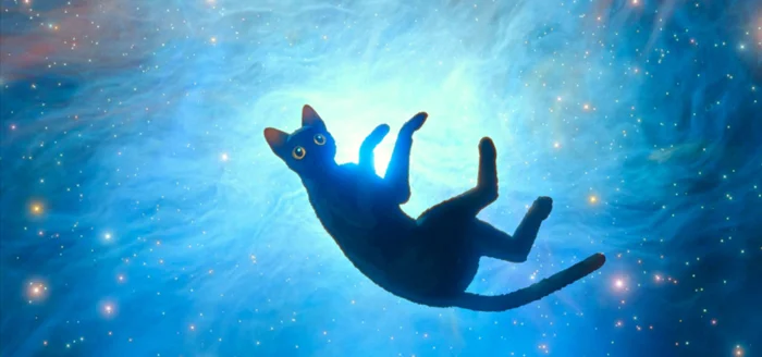 Лучшие из лучших: 27 мультфильмов, удостоенных премии «Оскар»