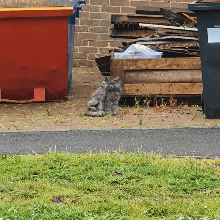 Взгляните дважды: 16 забавных фото, которые могут запутать