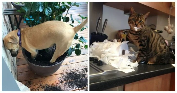 Когда тоска берет верх: 25+ персонажей, у которых поехала крыша