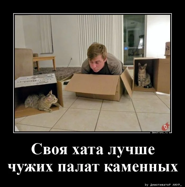 Прикольные демотиваторы