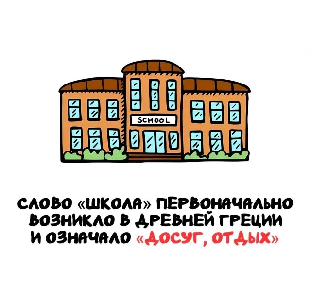 Занимательные факты