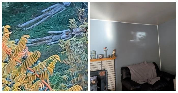 15 жутковатых фото, которые заставят вас насторожиться