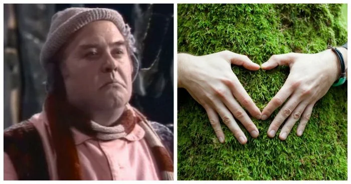 Неожиданное о привычном: 10 любопытных фактов из разных сфер жизни