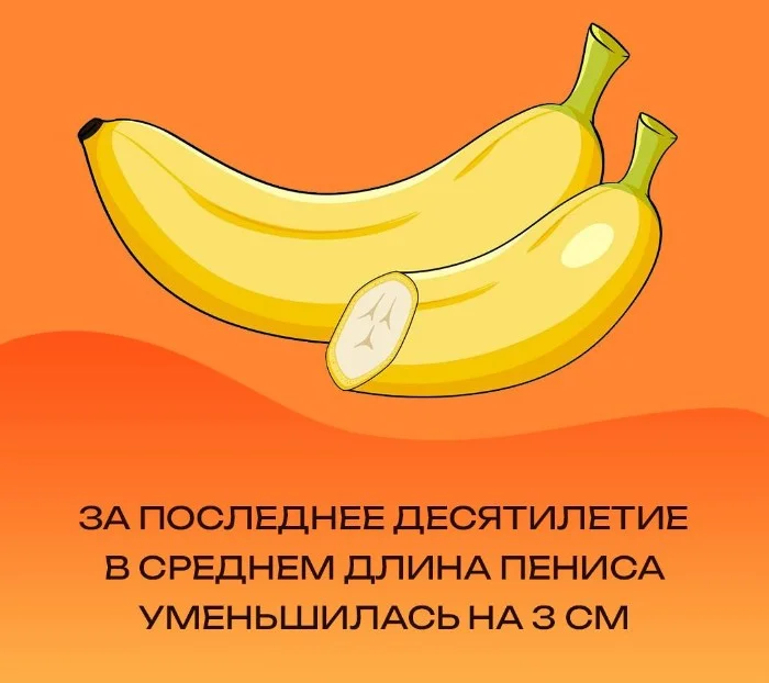 Сексуальная правда: 15 фактов, которым не научат в школе #10