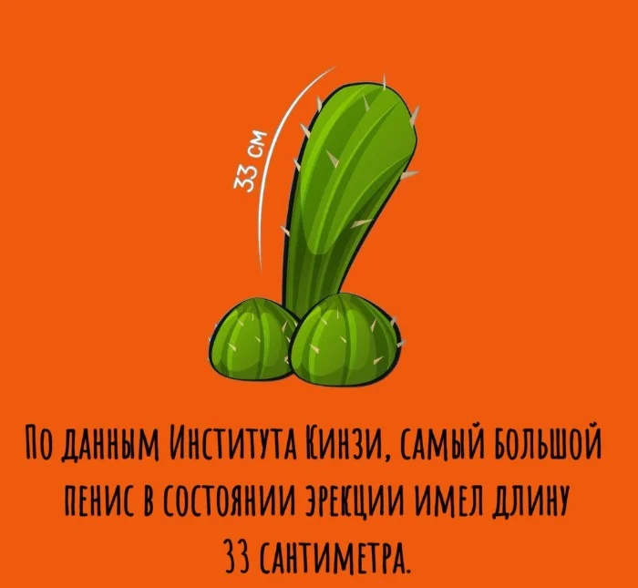 Сексуальная правда: 15 фактов, которым не научат в школе #25