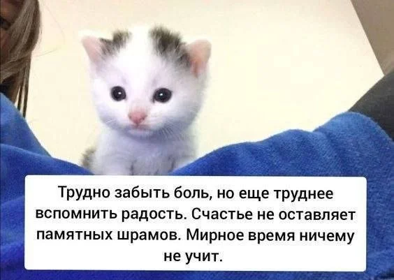 Смешные скрины из соцсетей #2