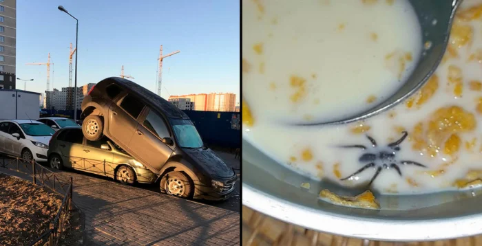 Утро не задалось: эпичные фейлы, случившиеся с самого пробуждения