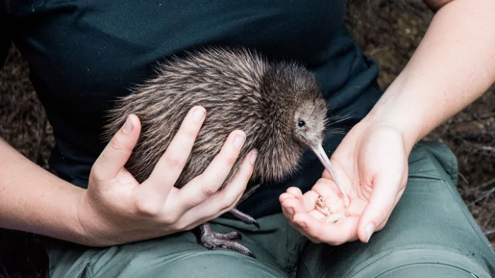 5 самых холоднокровных созданий природы — буквально!