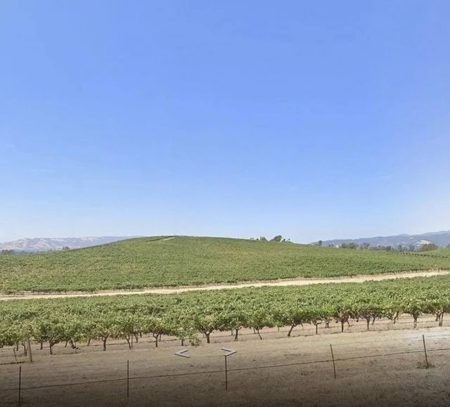 Легендарный фон Windows XP: что с ним стало спустя почти 30 лет