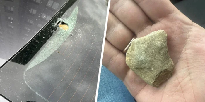 Атака с неба: вороны забрасывают камнями машины – что происходит?