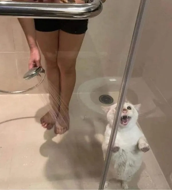 Подъехало всё вразнобой