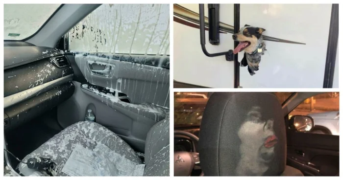 25 случаев, когда невнимательность обернулась весёлой катастрофой