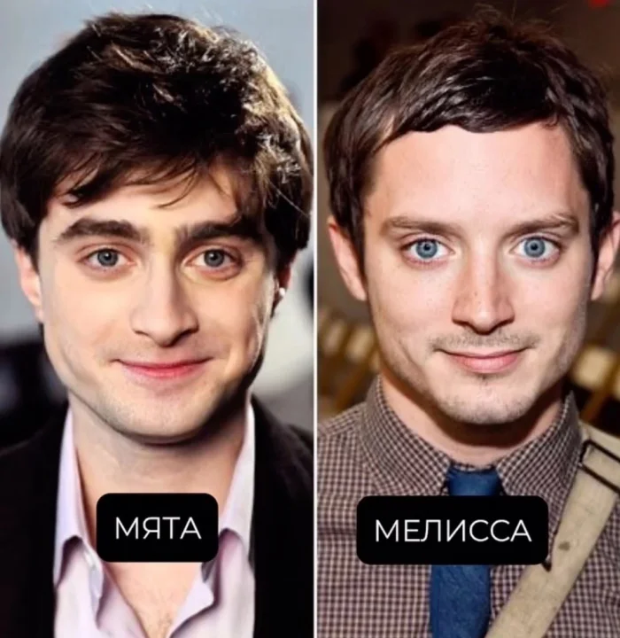 Заходишь в магазин, а там полка со специями