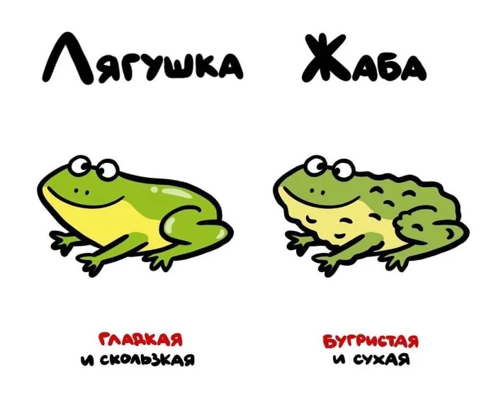 Знай разницу! Различий пост #52