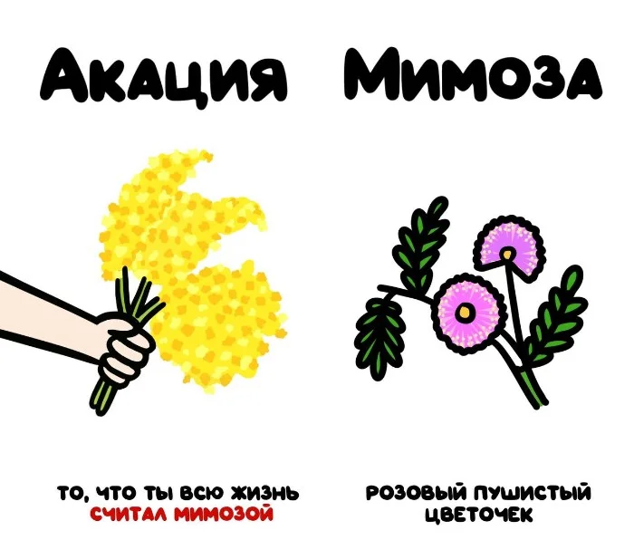 Знай разницу! Различий пост #55