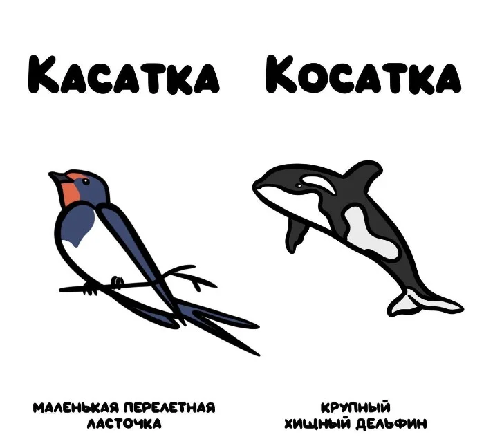 Знай разницу! Различий пост #61